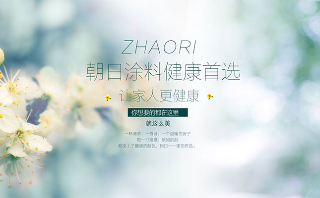 网站制作网站优化知识