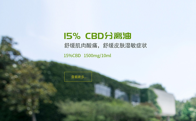 巩义某电子烟企业网站建设完成上线