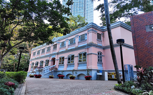 巩义网站建设客户留学培训网站制作完成