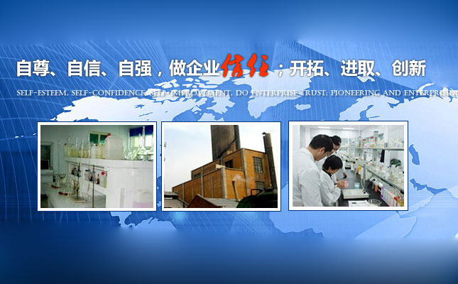 郑州某净水药剂公司模版网站制作完成