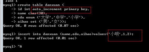 cmd创建表单测试enum和set类型